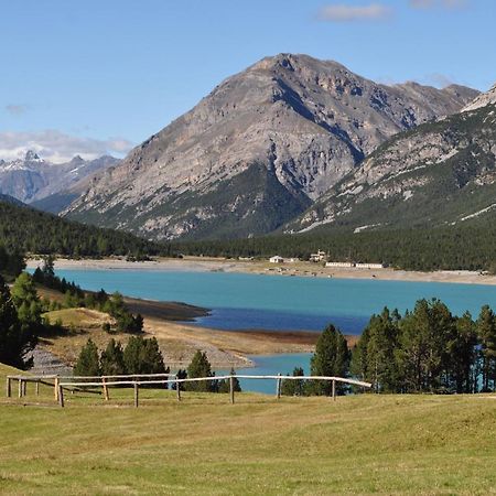 Chalet Bormio Stelvio Villa วัลดีเดนโตร ภายนอก รูปภาพ
