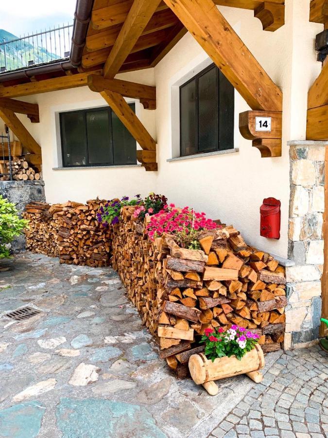 Chalet Bormio Stelvio Villa วัลดีเดนโตร ภายนอก รูปภาพ